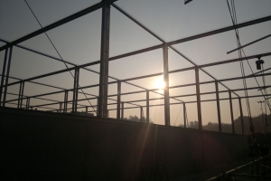 rottetechnik-manz-181